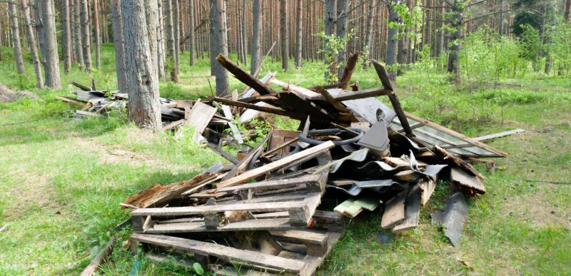 Debris Removal Service in Chico, CA